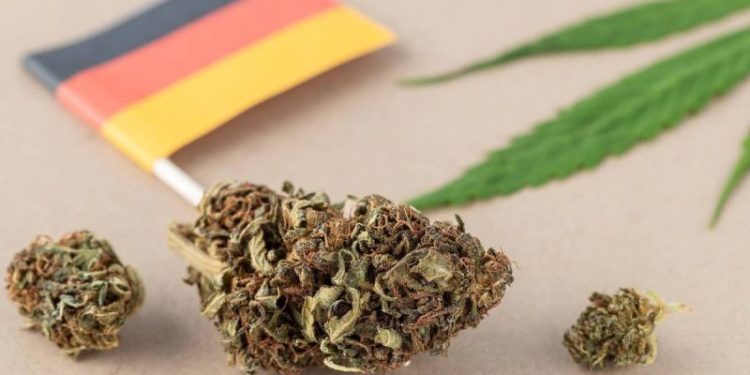 Germany’s Medical Cannabis Boom: Data-Driven Insights for Investors